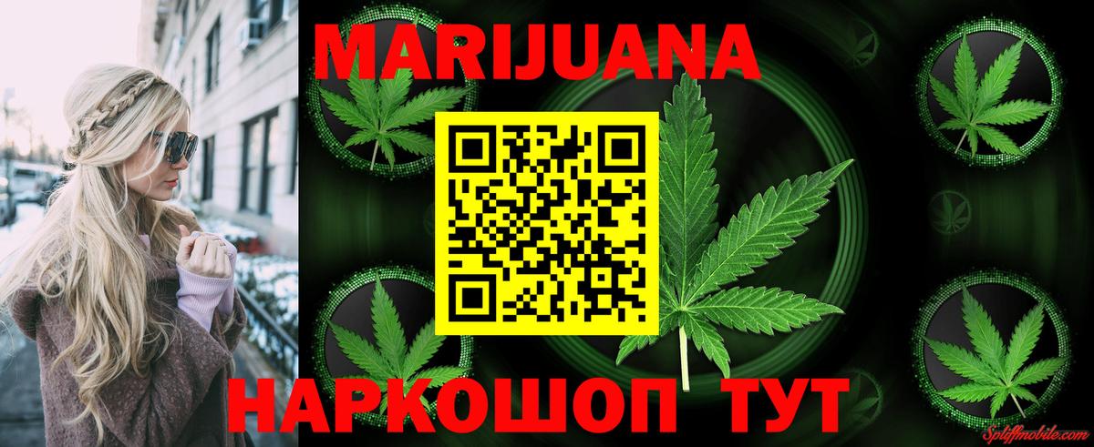 Каннабис сатива Железногорск